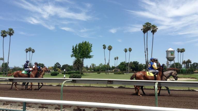 Alameda County Fairgrounds