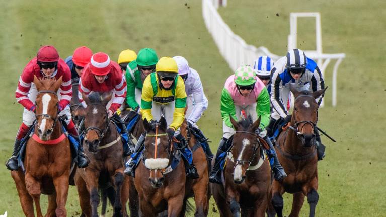 Festive Fling Raceday