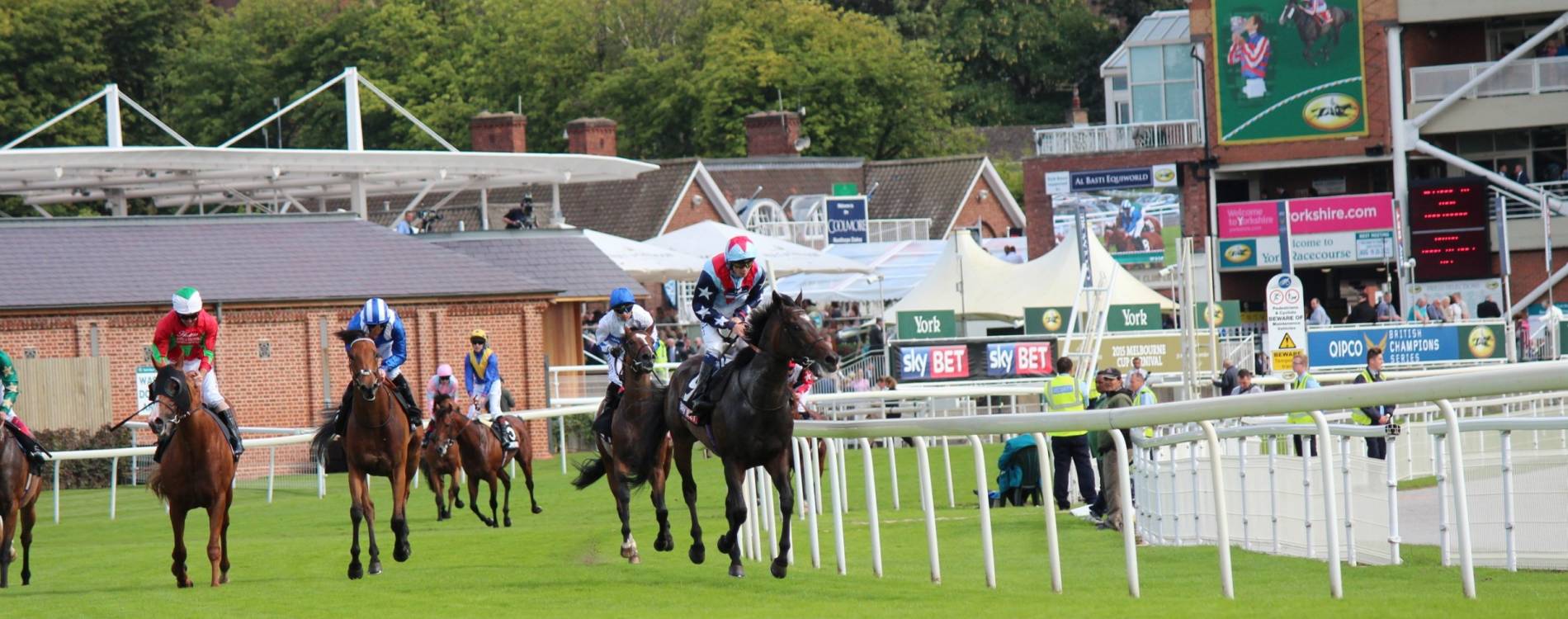 Horses on the track at York