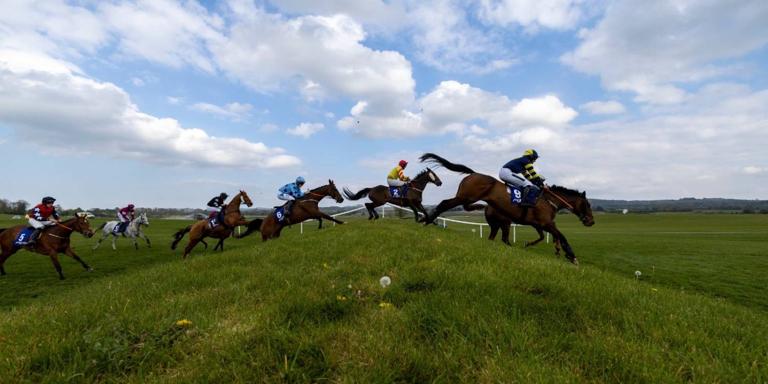 Horses over the hill