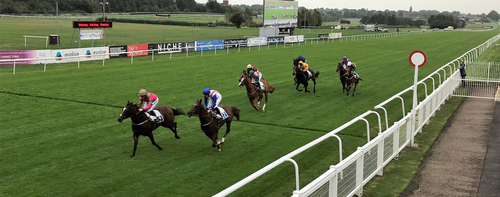Horses race for the finish at Leicester Racecourse