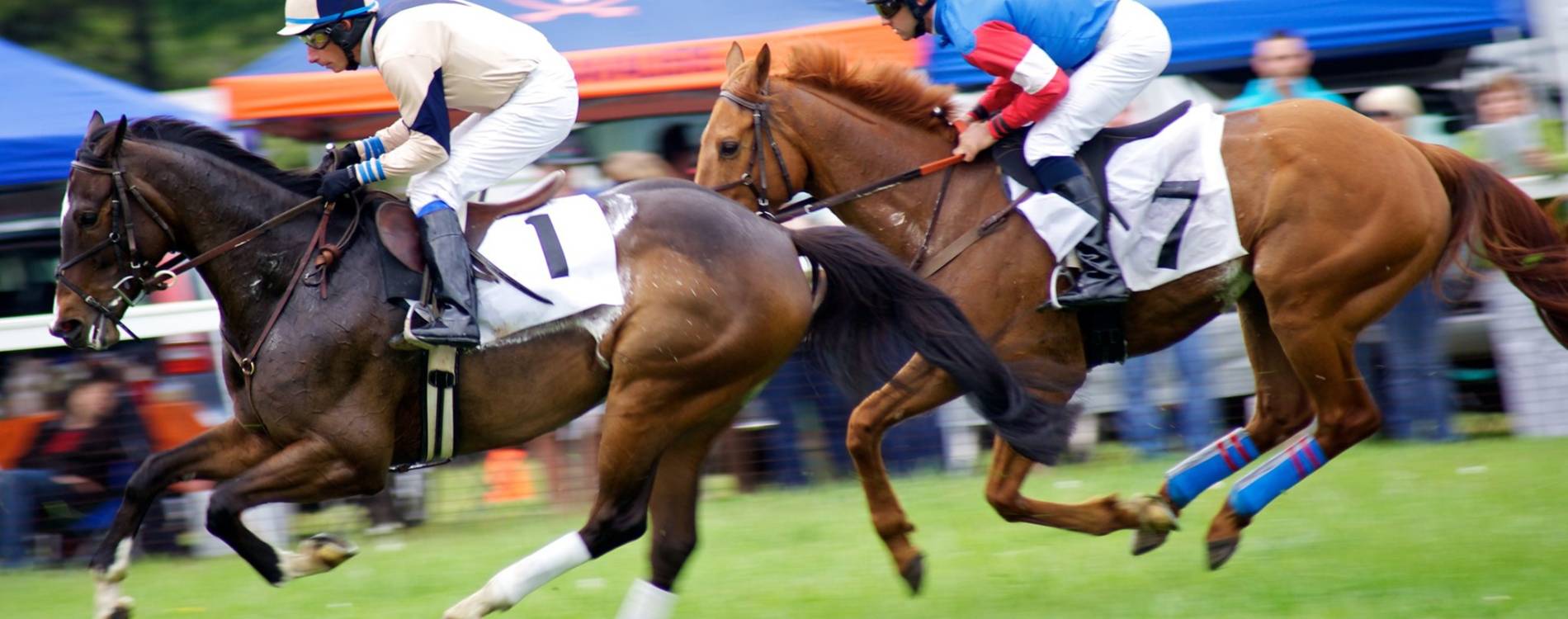 Horses race past