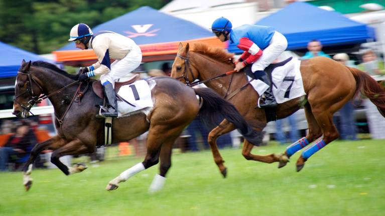 Eventmasters Christmas at the Races