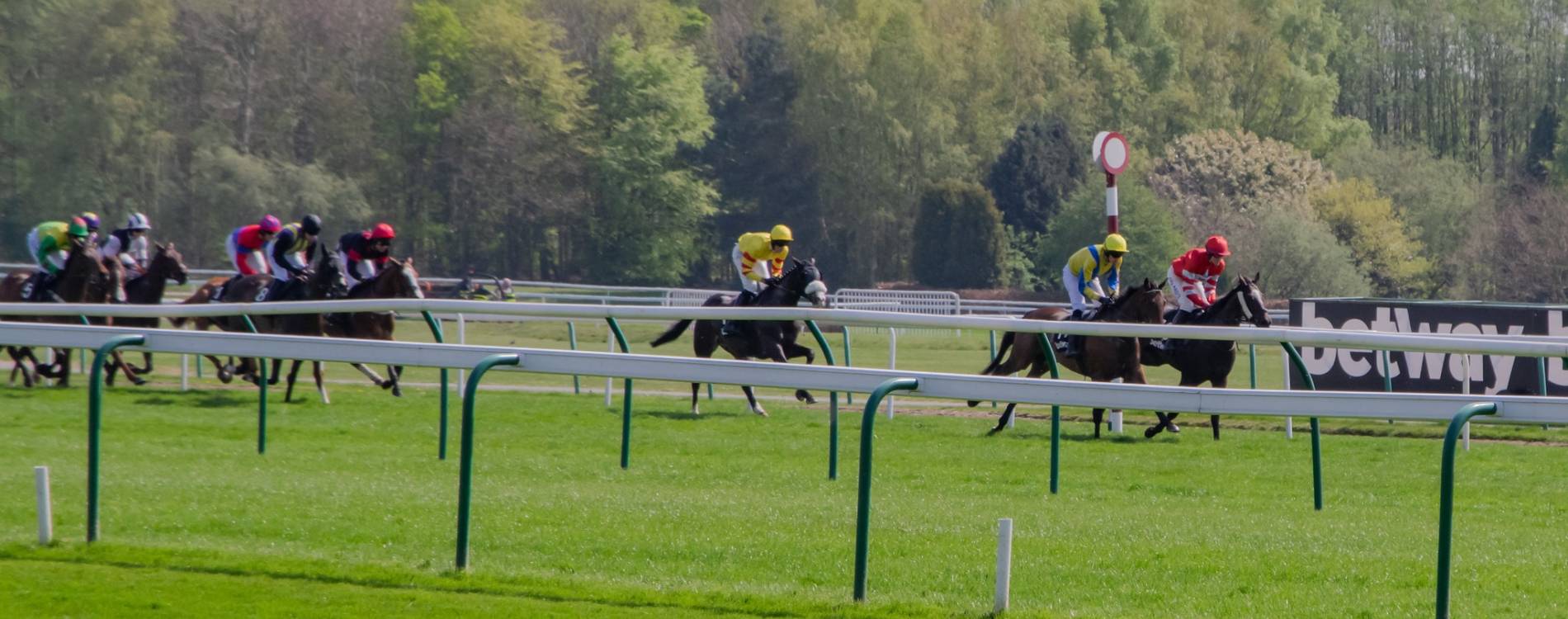 Horses racing along the track