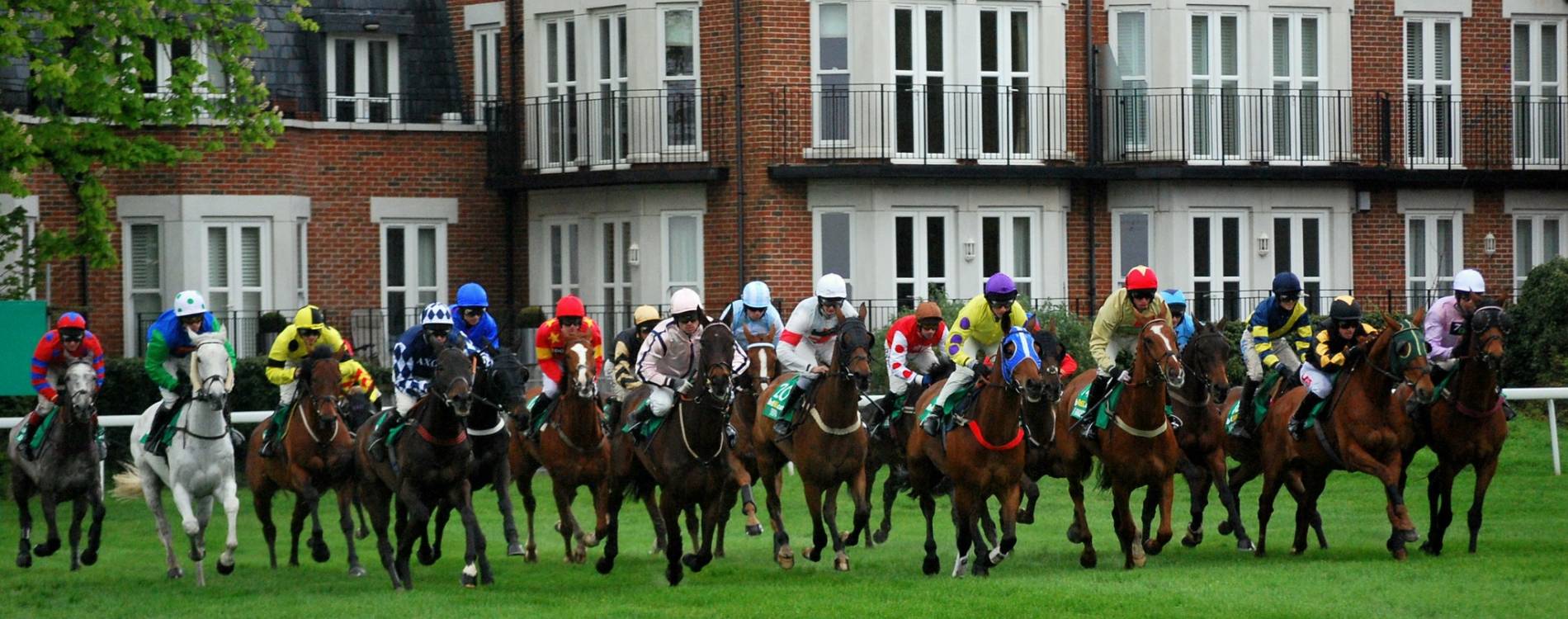 Horses racing at Sandown
