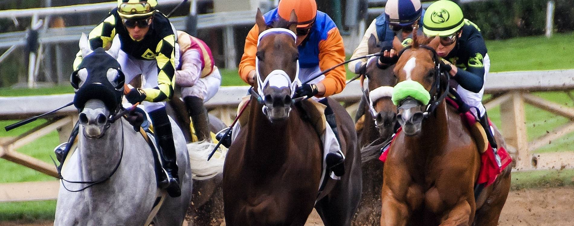Horses racing on dirt track