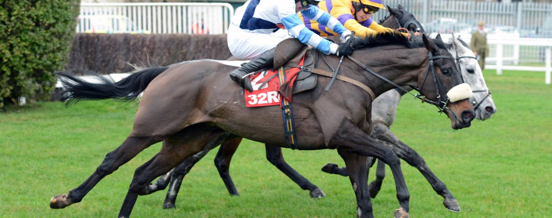 Horses rush down the home straight