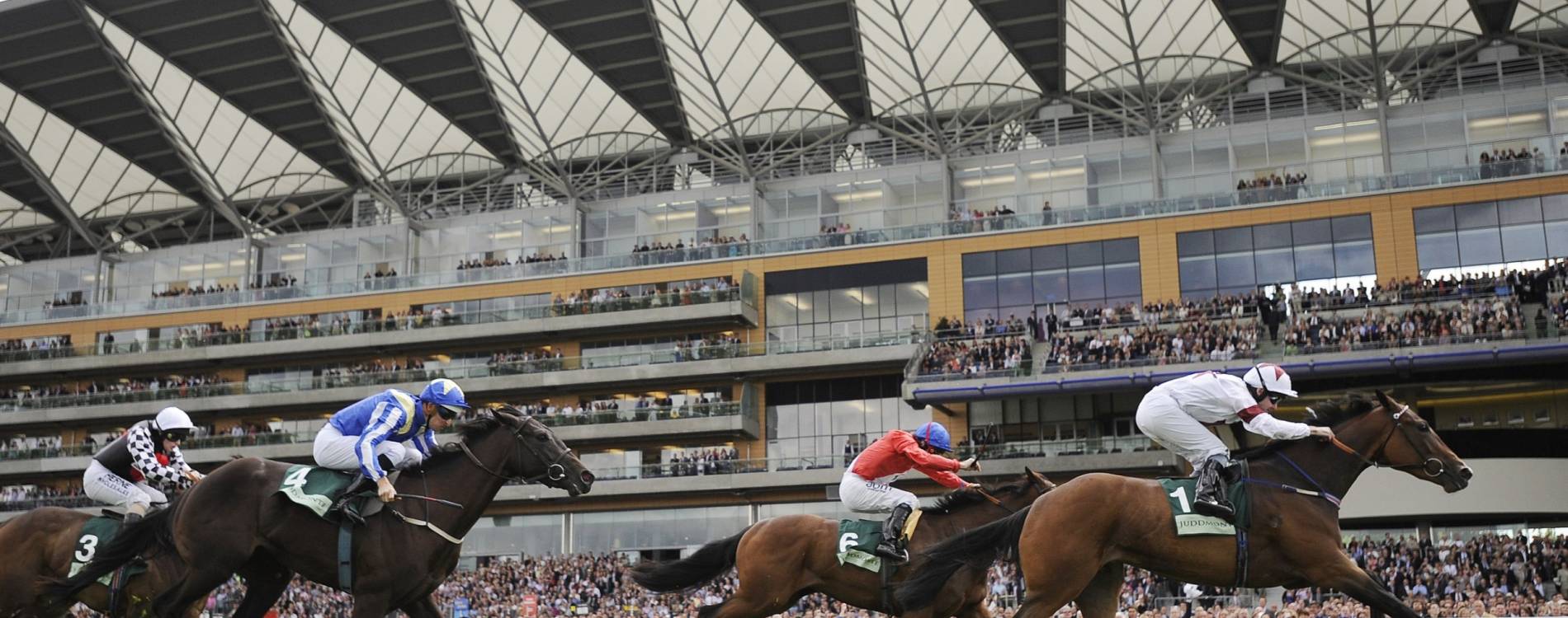 Horses sprint towards the finish line at Ascot