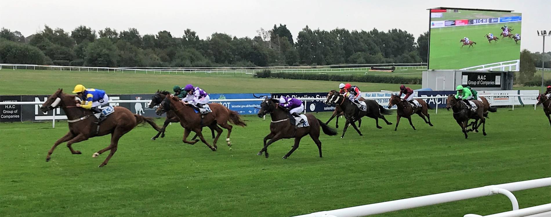 Horses take on the final furlong at Leicester Racecourse