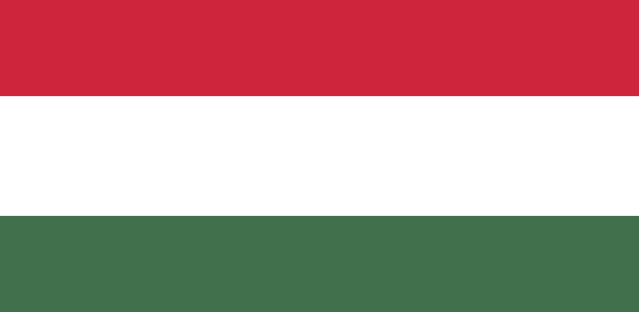 Hungary Football Team