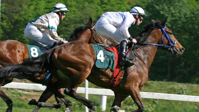 bet365 Morebattle Hurdle Day