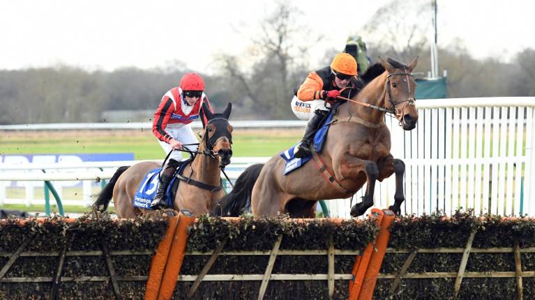 Molly Ollys Race Day