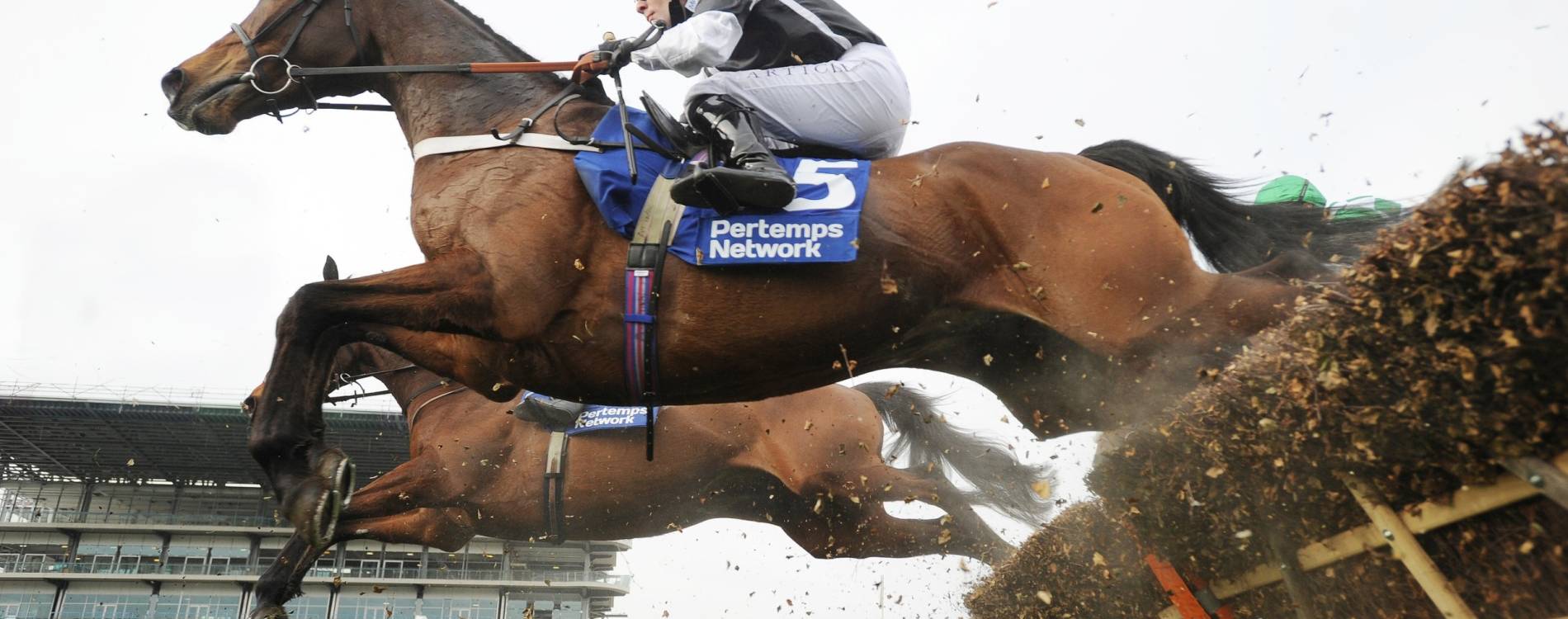 Hurdling at Cheltenham