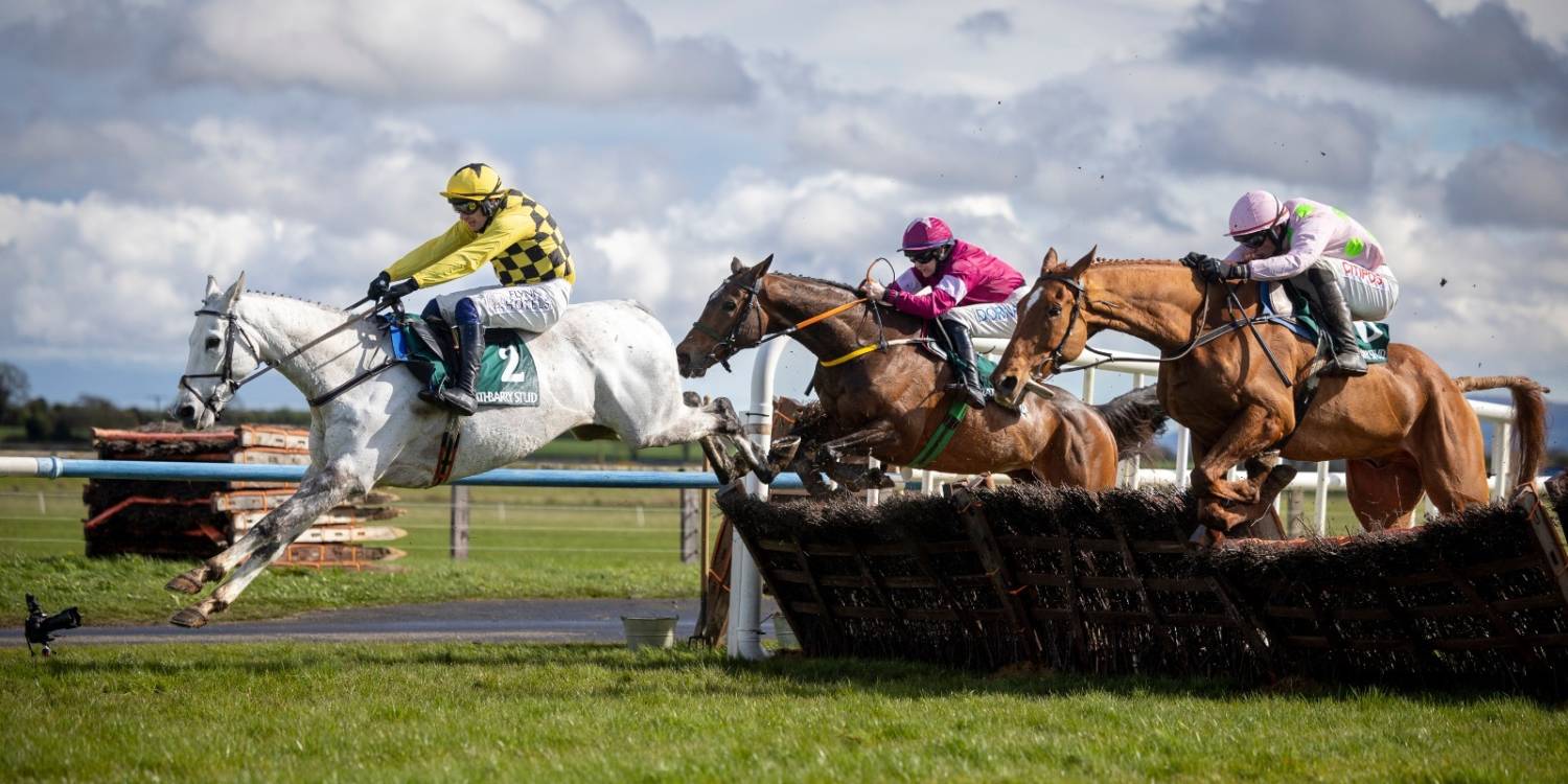 Hurdling at Fairyhouse