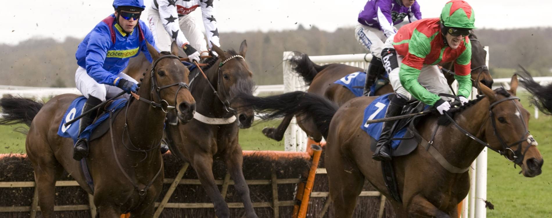 Hurdling at Newbury