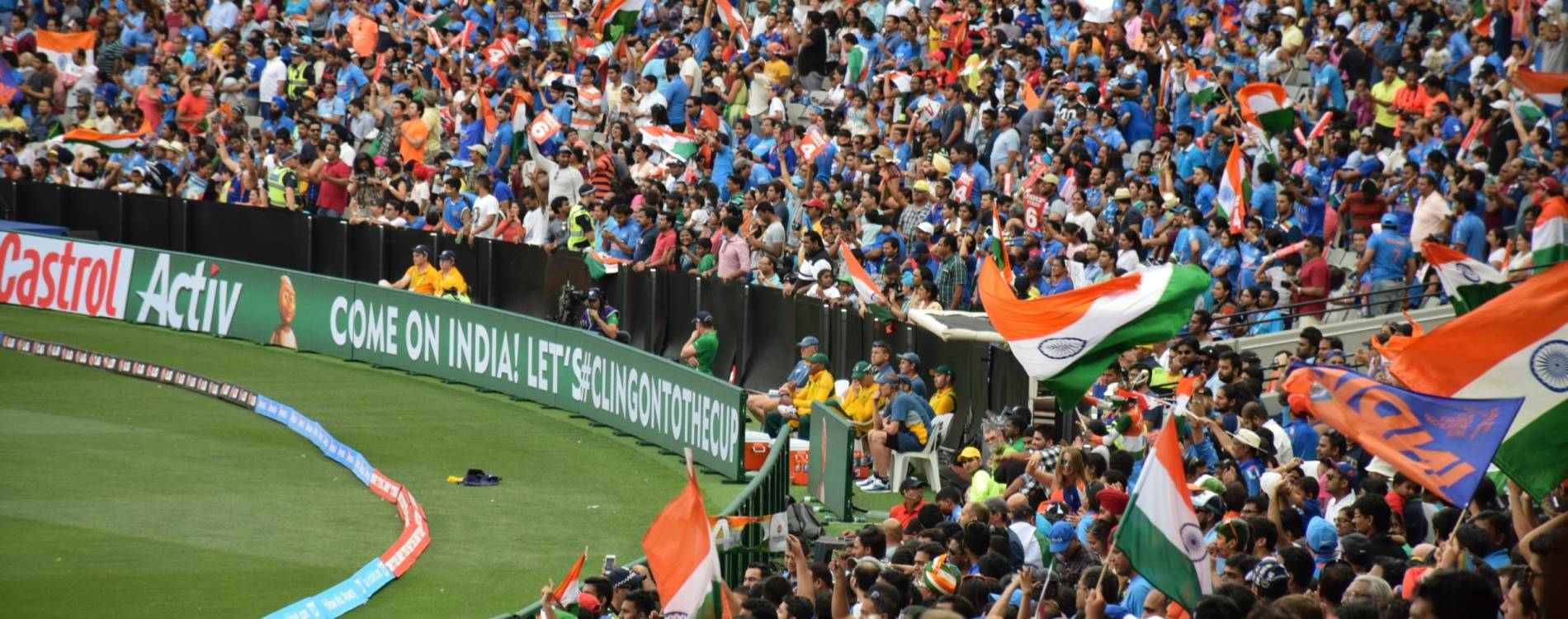 Indian fans at the 2015 Cricket World Cup