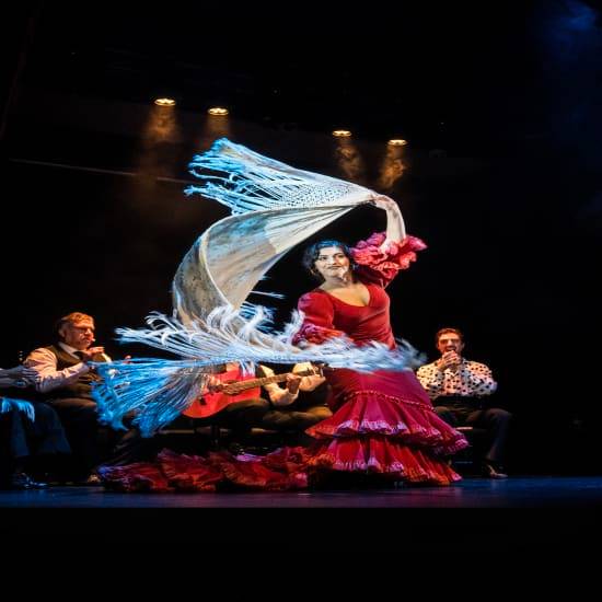 Inspiración - Show flamenco en Teatro Flamenco Barcelona