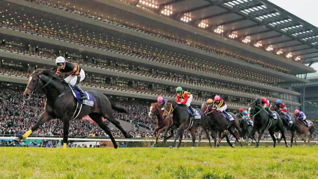 Japan Cup Kitasan Black