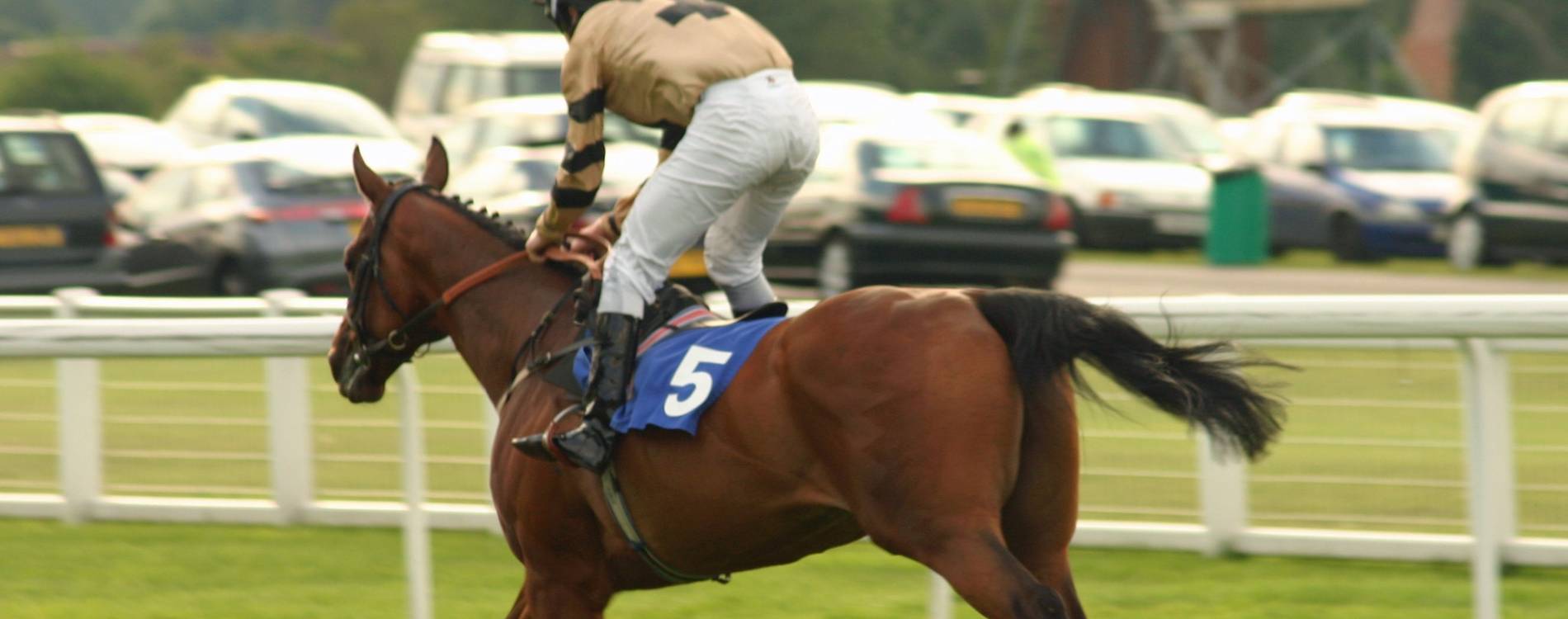 Jockey and horse at Sandown Park