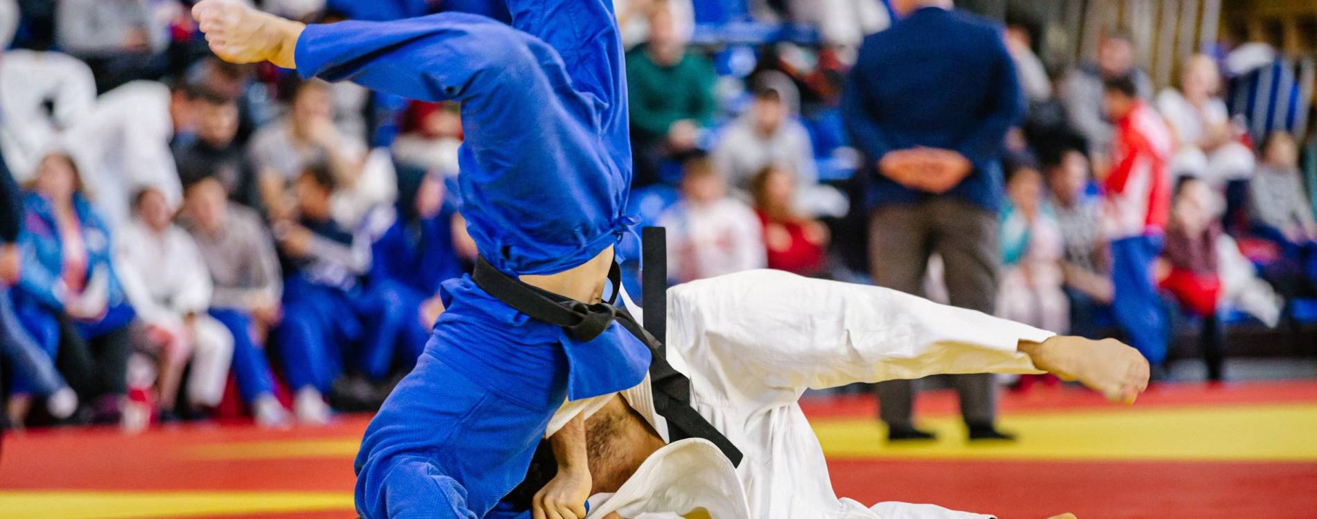 Judo match