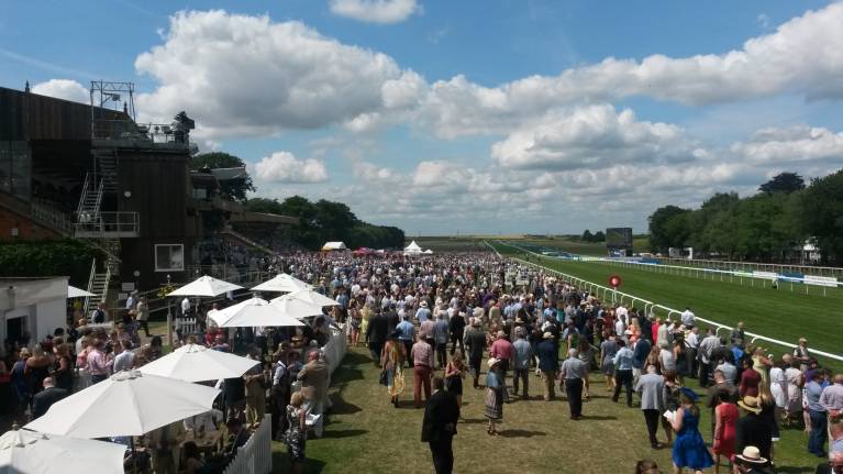 Cure Winter Blues With 2023 Horse Racing News