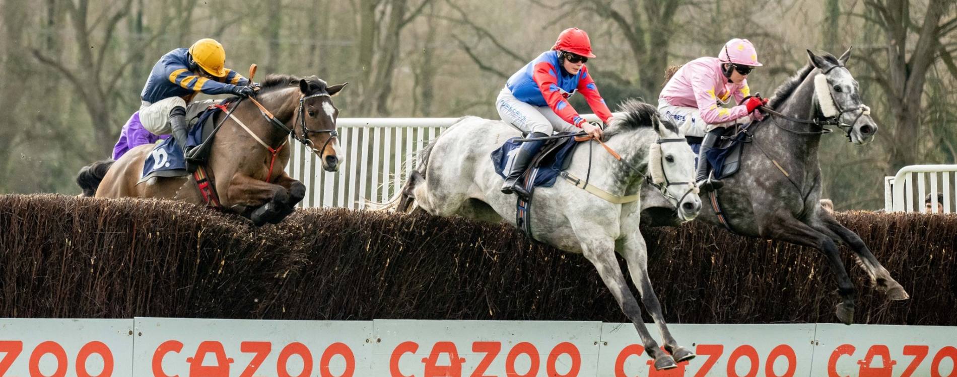 Jump at Fontwell