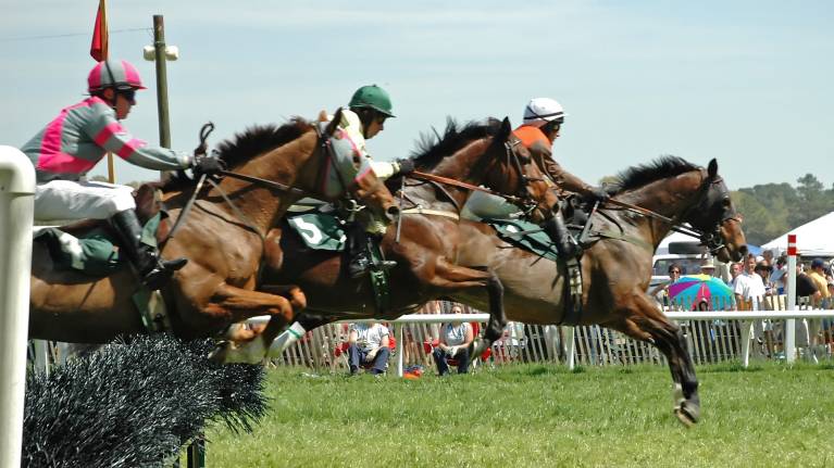 National Spirit Hurdle