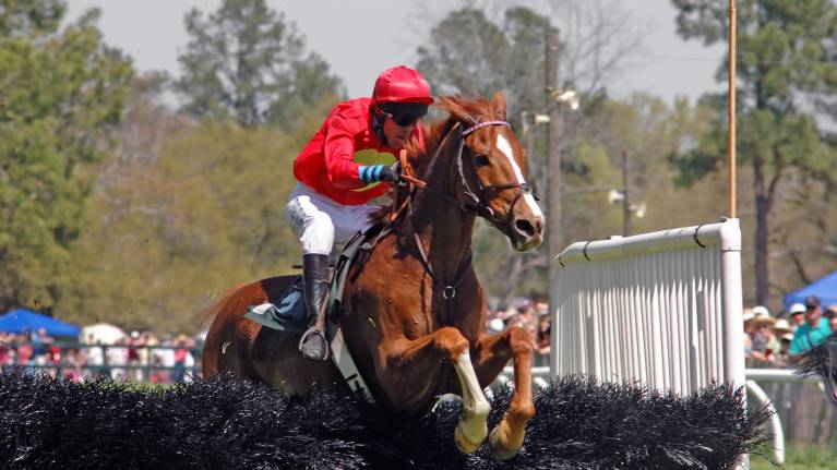 Christmas Jumper Raceday