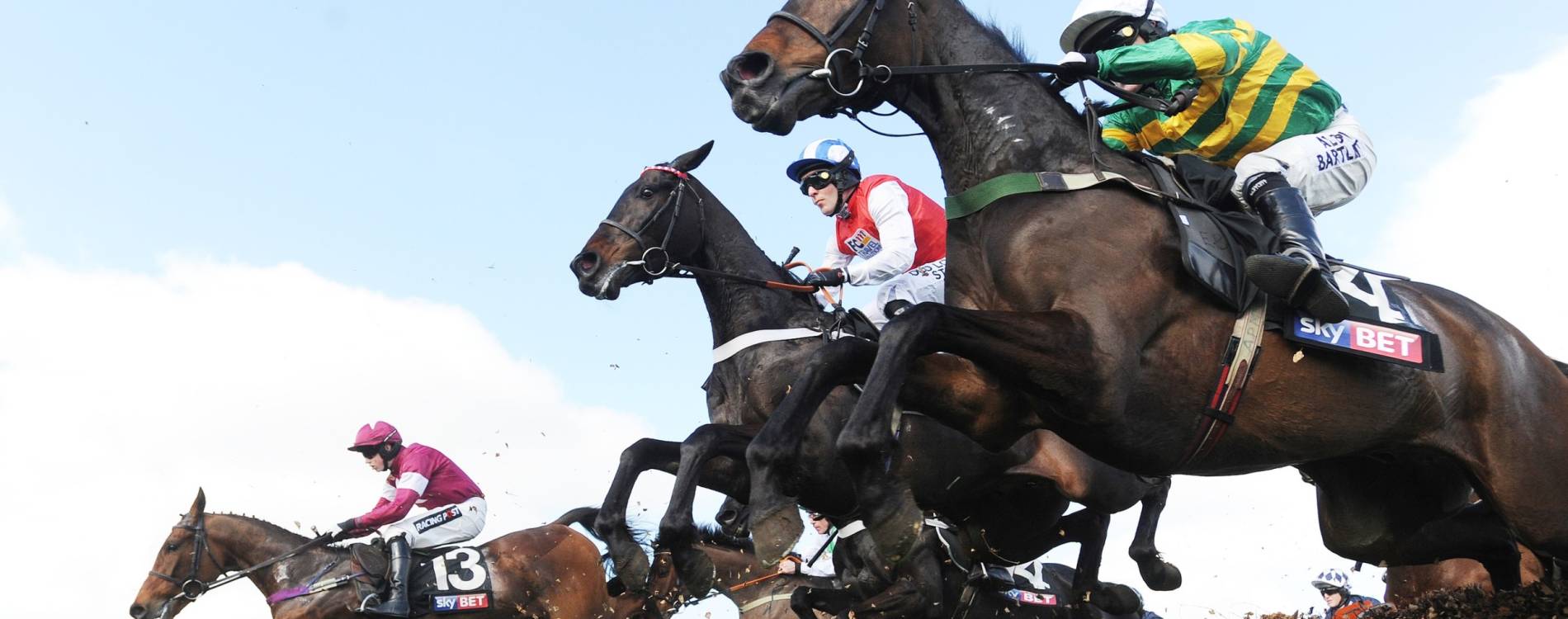 Jumping at Cheltenham