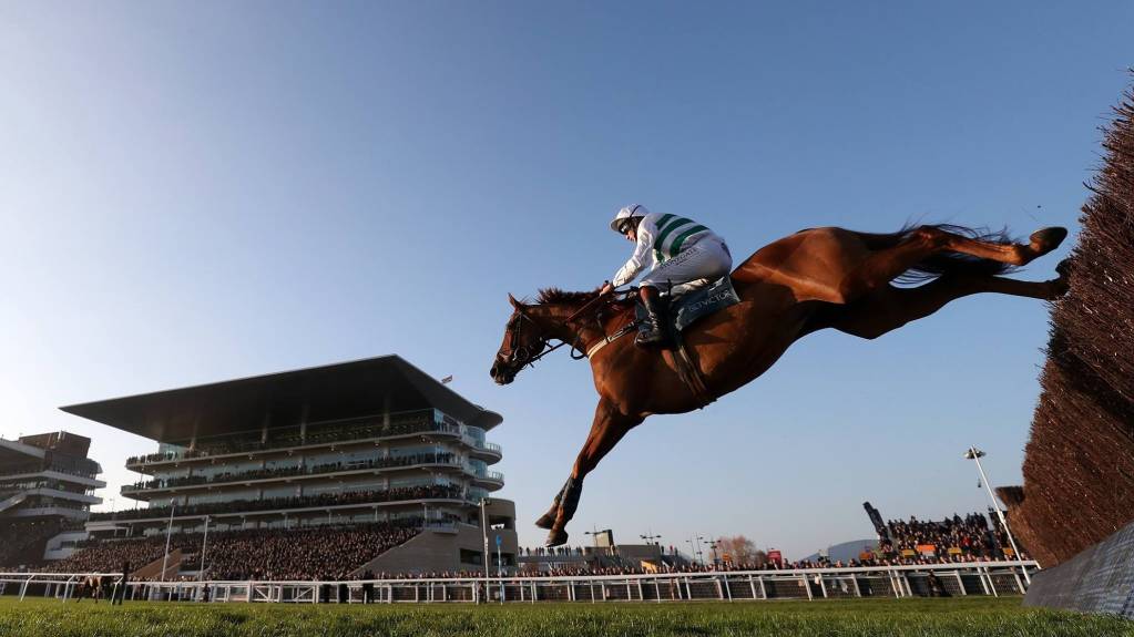 Jumping at Cheltenham