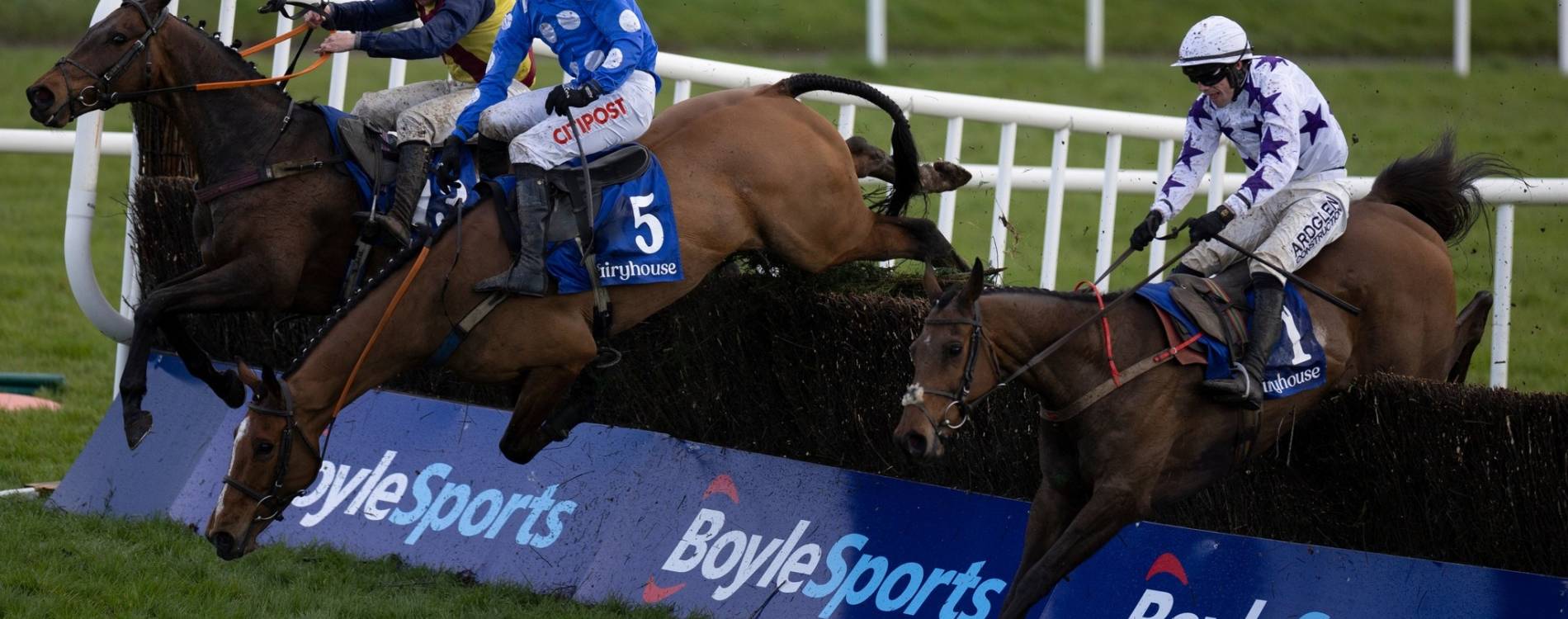 Jumping at Fairyhouse
