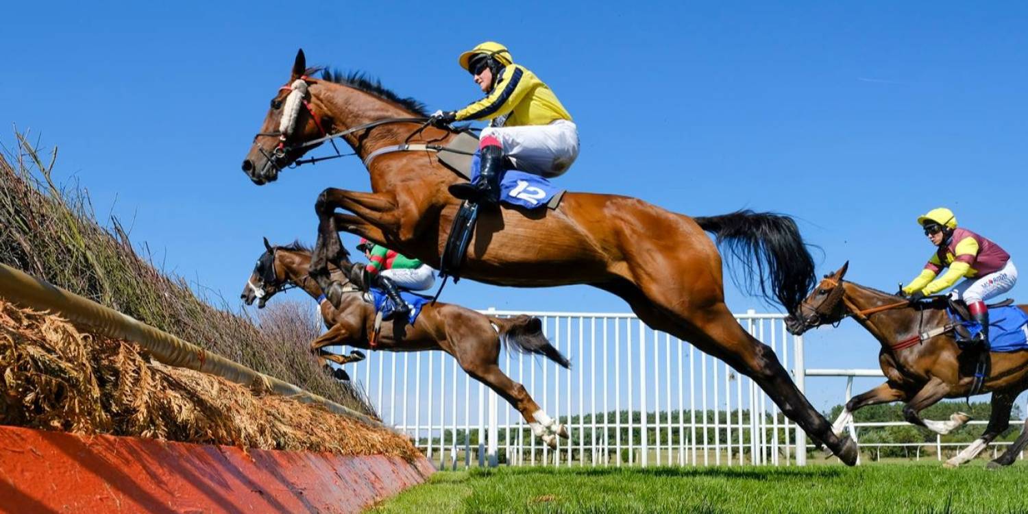 Jumping at Market Rasen