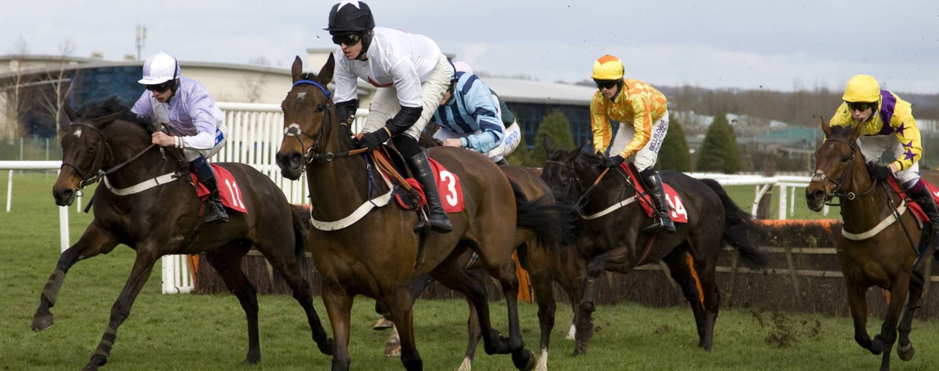 Betfair Super Saturday Tickets 8 Feb 2025 Newbury Racecourse Koobit