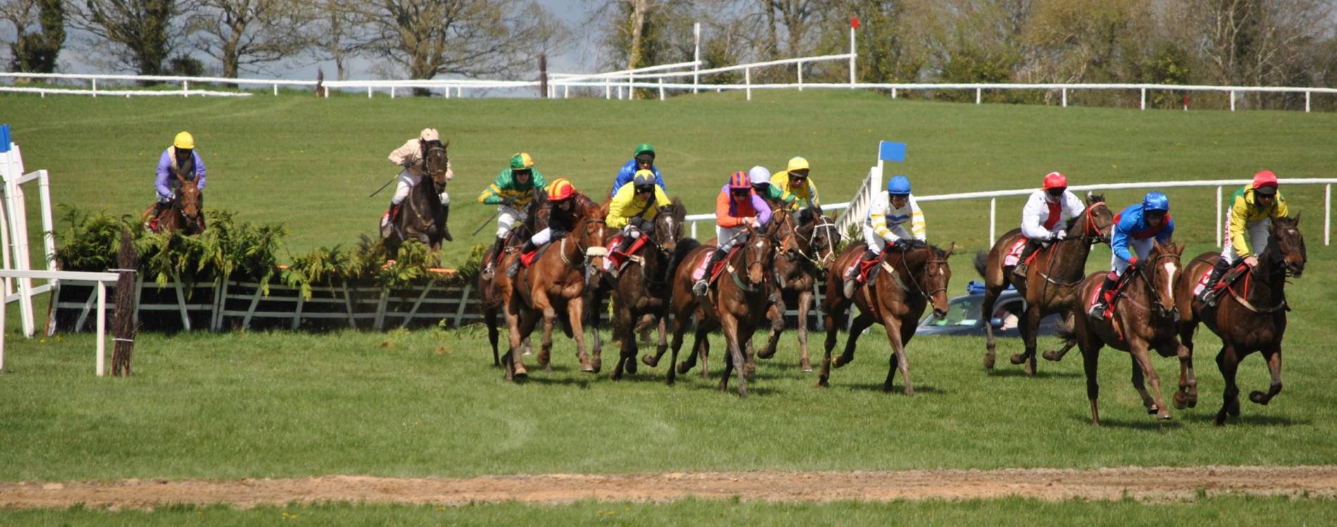 Jumping at Punchestown