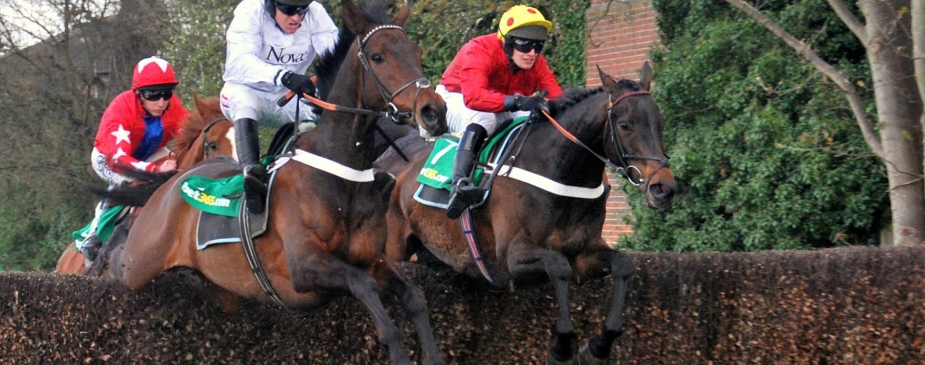 Jumping at Sandown