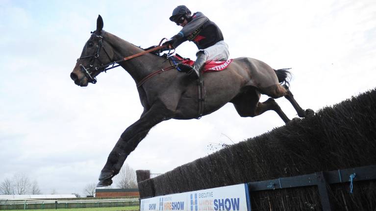 Oddschecker Kingmaker Chase Day