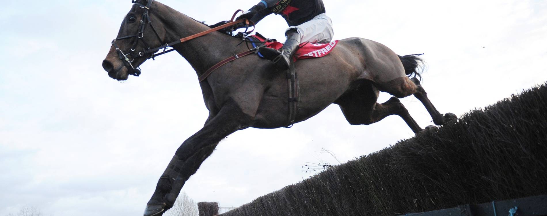 Jumping at Warwick