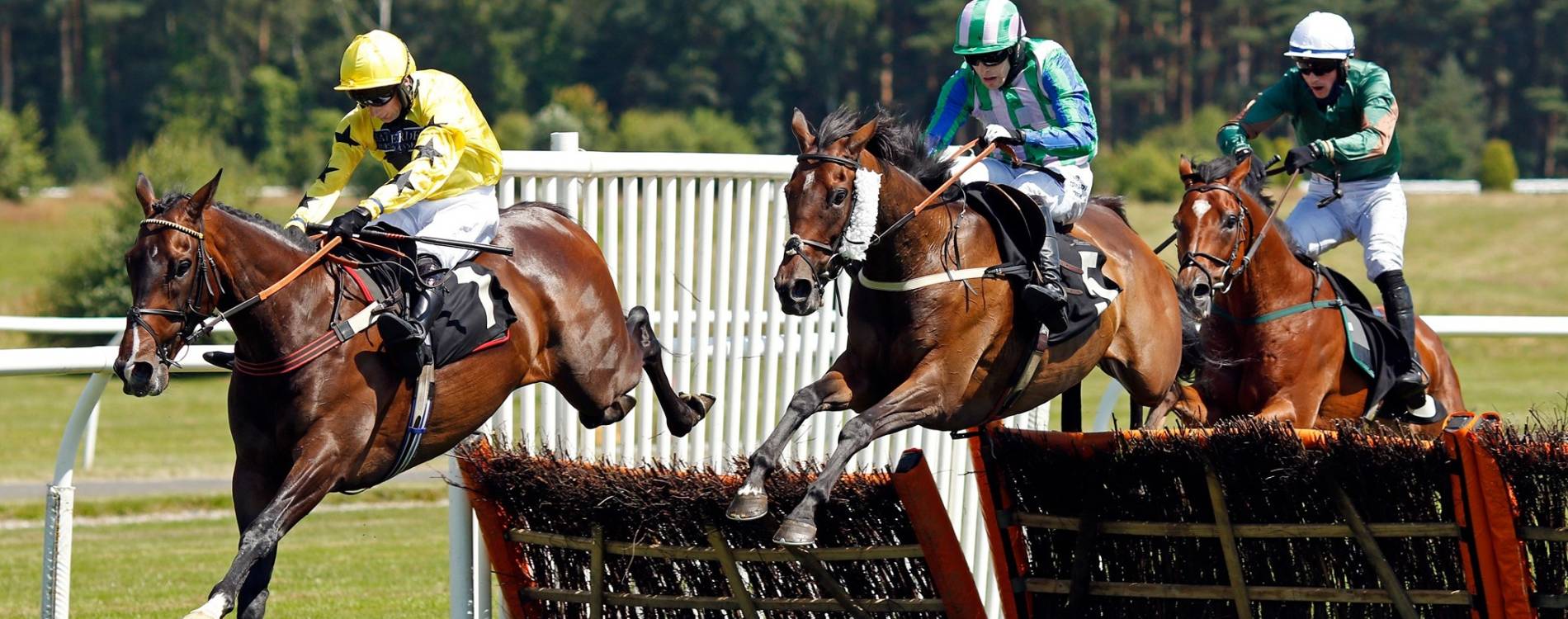 Jumps at Market Rasen