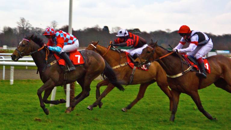 Ladbrokes Trophy Day