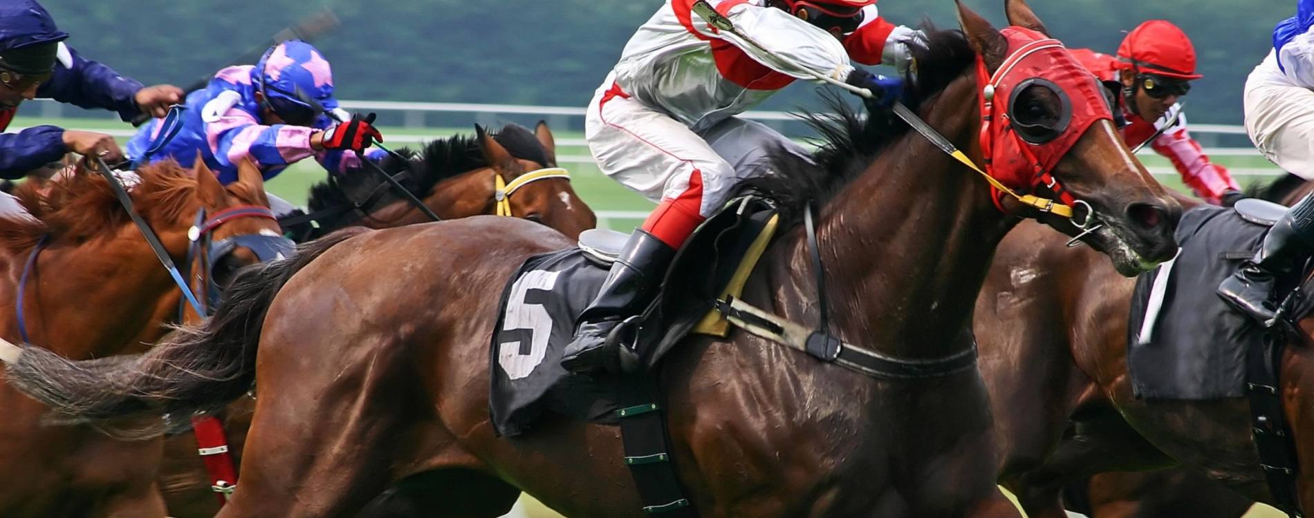 Ladies Day