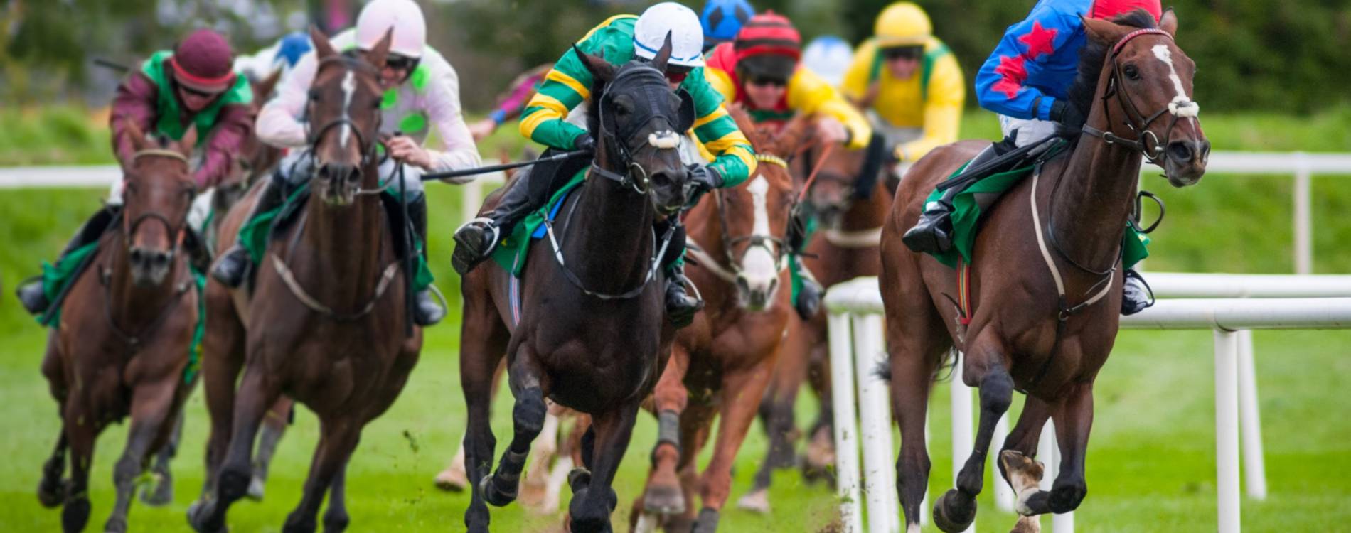 Ladies Day