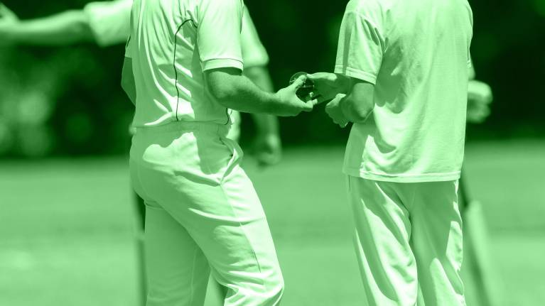 Leicestershire CCC (Foxes)