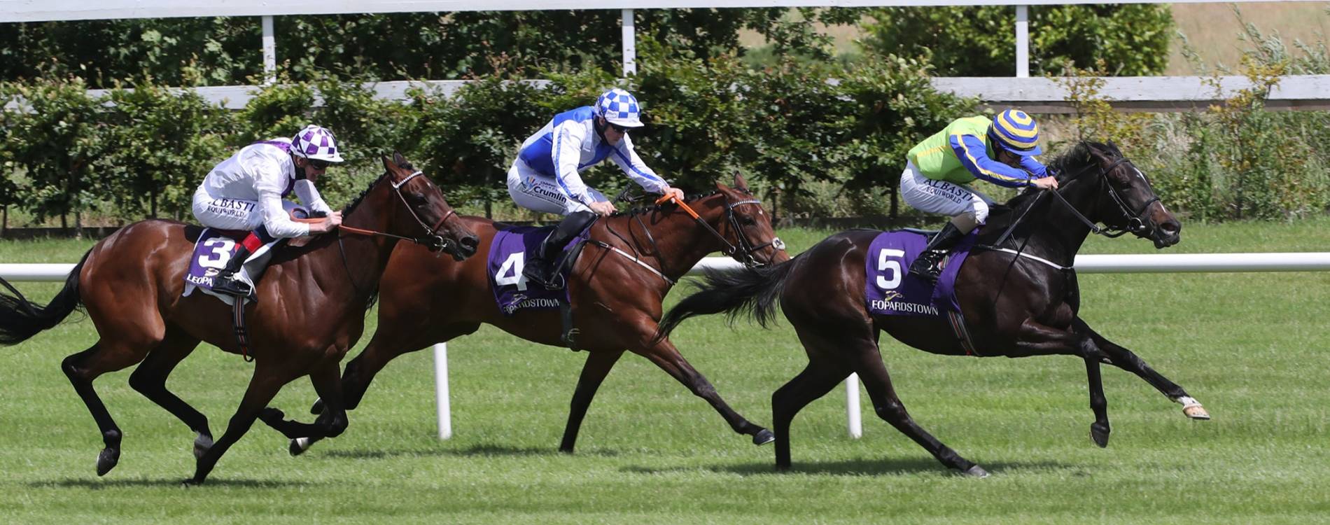 Leopardstown race