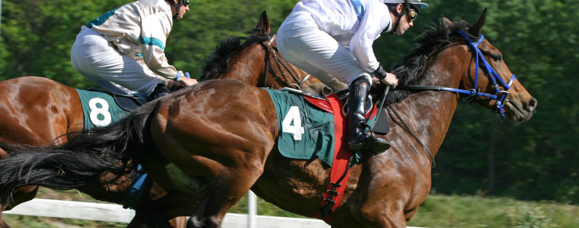 Leopardstown