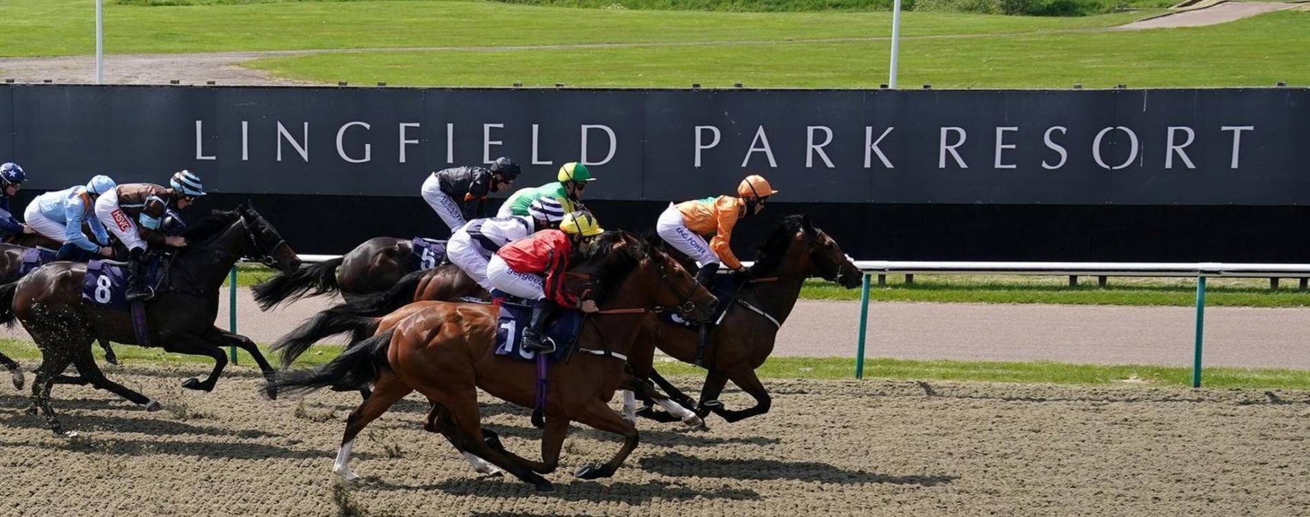 Lingfield All-Weather