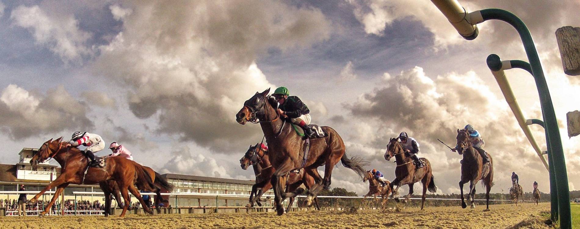 Lingfield All-Weather