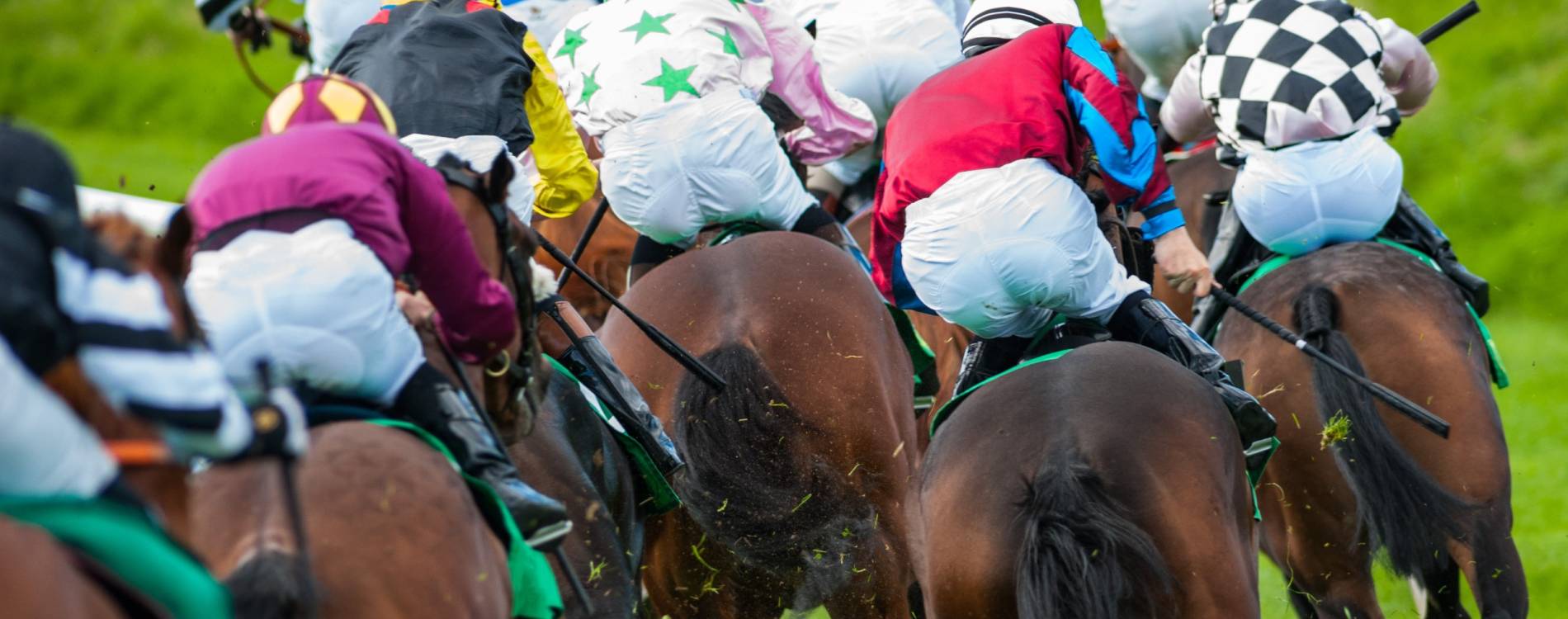 Live Racing