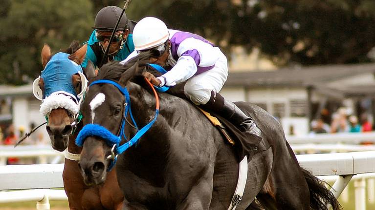 Live Racing