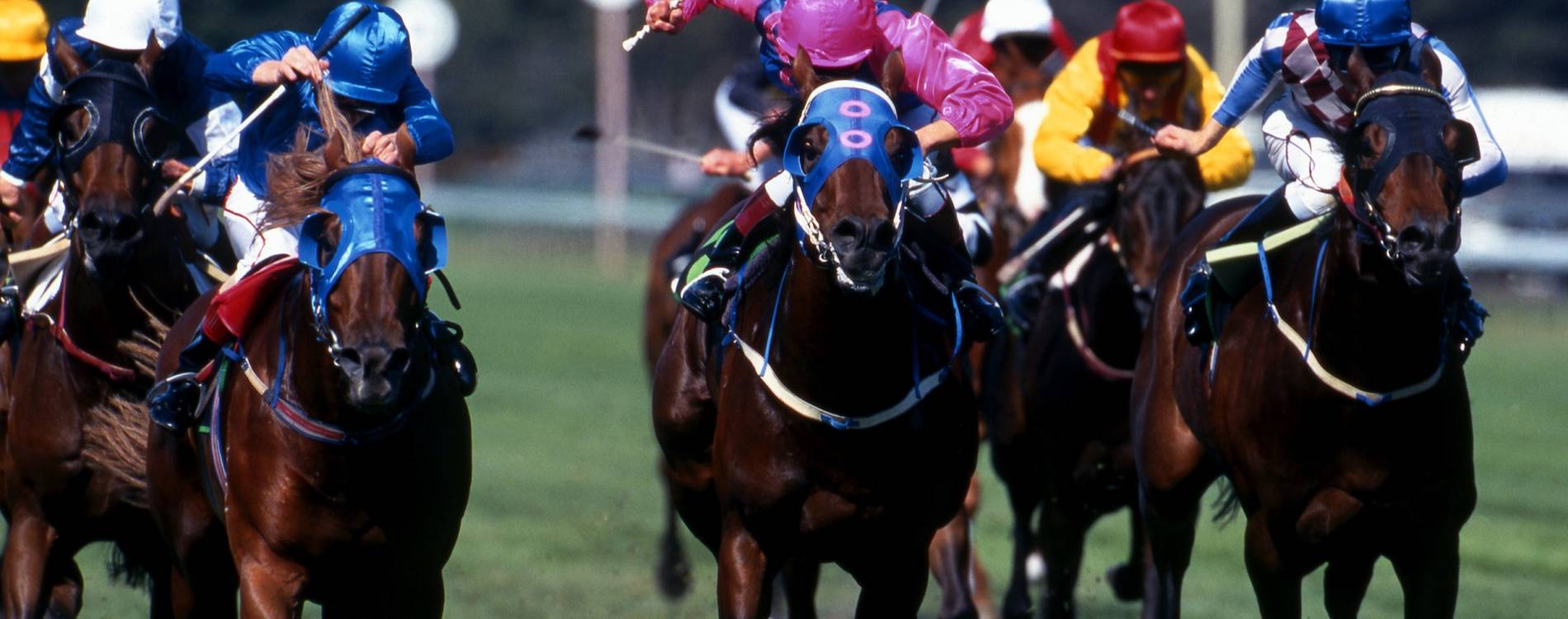 Live Racing