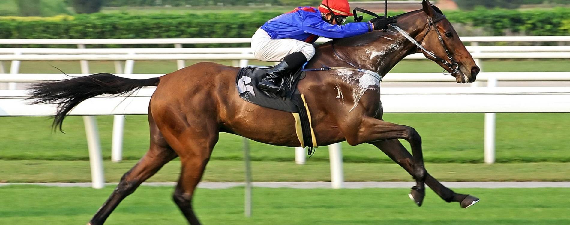 Living North Race Night June Flat Racing